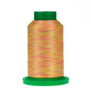 Isacord Variegated Embroidery Thread | 9302 Bark | 1000M Spool