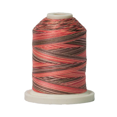 Signature 40wt Variegated Cotton Thread SIG41-250 Canyon View  700yd