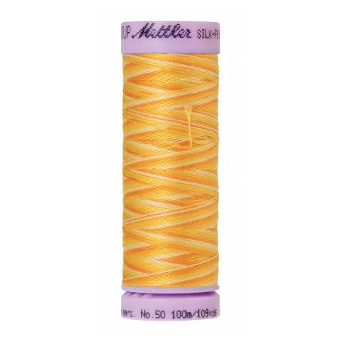 Silk-Finish Multi Embroidery Thread 9827 Horizon 109yd