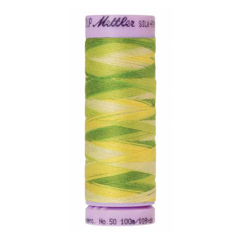 Silk-Finish Multi Embroidery Thread 9830 Citrus Twist 109yd