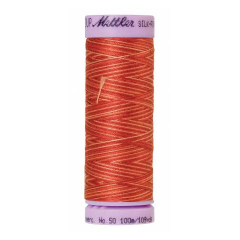 Silk-Finish Multi Embroidery Thread 9832 Terra Tones 109yd