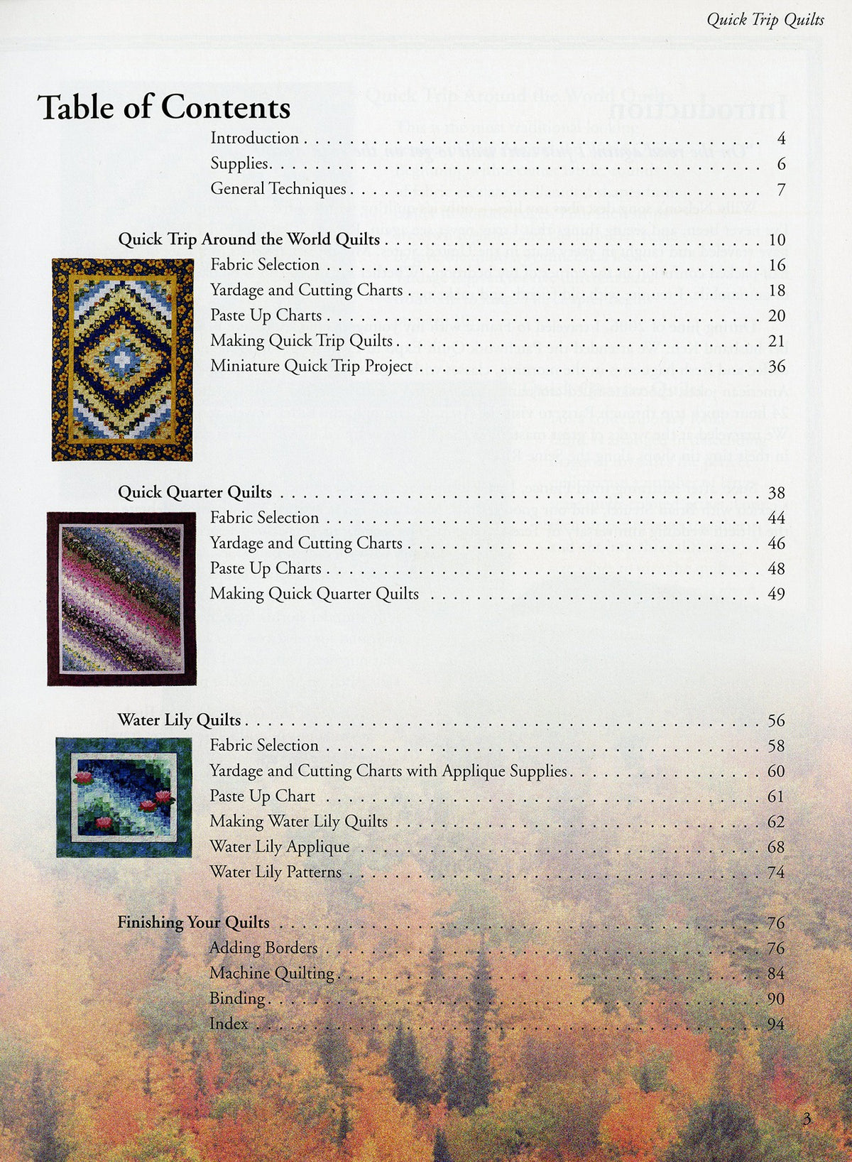 Quick Trip Quilts