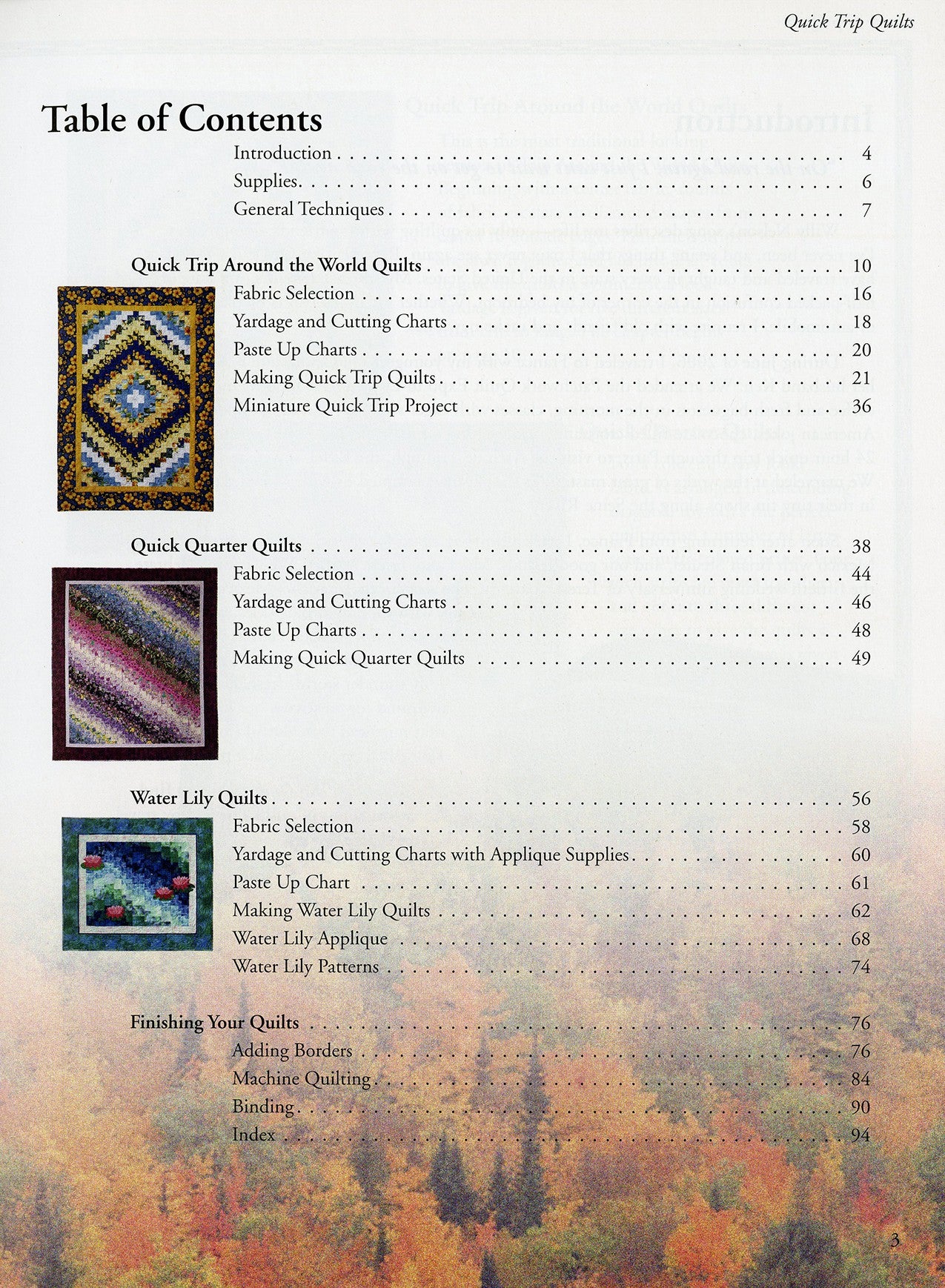Quick Trip Quilts