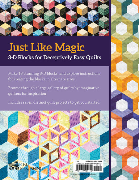 3-D Magic! Simple Blocks, Striking Quilts