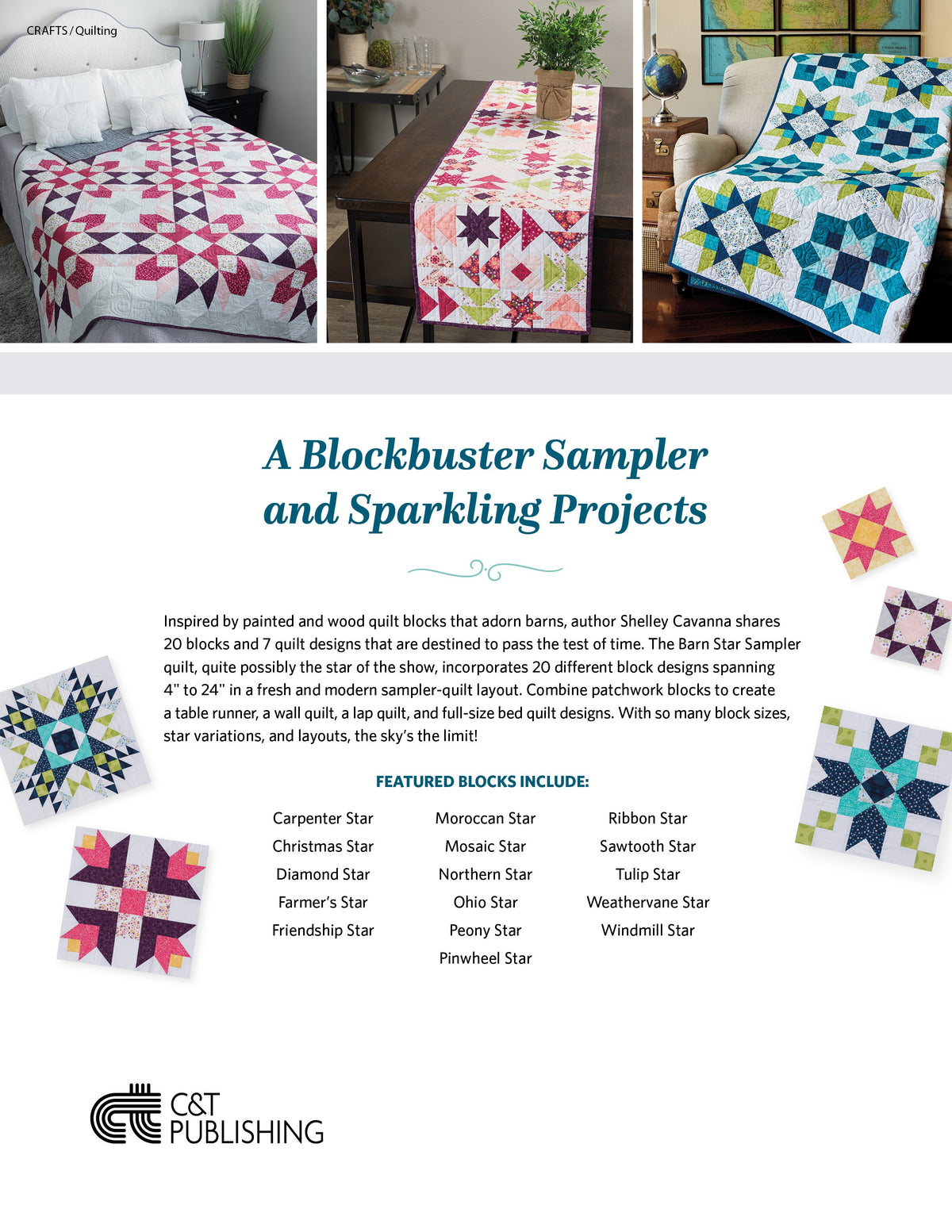 Barn Star Sampler: 20 Starry Blocks and 7 Spec.