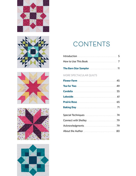 Barn Star Sampler: 20 Starry Blocks and 7 Spec.