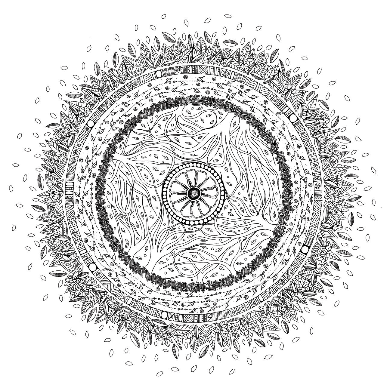 Enchanted Grove Mandala Coloring Book