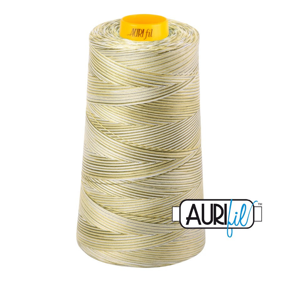 4653 Spring Prairie - Aurifil 40wt 3-Ply Longarm Thread