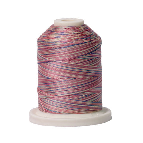 Signature 40wt Variegated Cotton Thread - 700yd - Victorian #006 – Red ...