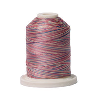 Signature 40wt Variegated Cotton Thread SIG41-006 Victorian  700yd