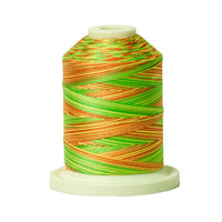 Signature 40wt Variegated Cotton Thread SIG41-010 Citrus  700yd