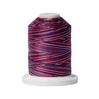Signature 40wt Variegated Cotton Thread SIG41-013 Stars & Stripes  700yd
