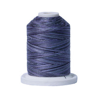 Signature 40wt Variegated Cotton Thread SIG41-014 Shadows  700yd