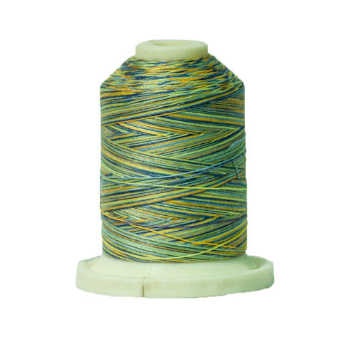 Signature 40wt Variegated Cotton Thread SIG41-017 French Country  700yd