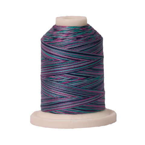 Signature 40wt Variegated Cotton Thread - 700yd - Garden #153 – Red ...