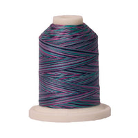 Signature 40wt Variegated Cotton Thread SIG41-153 Garden  700yd