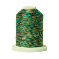 SIG41-252 Strawberry Shortcake  - Signature 40wt Variegated Cotton Thread