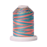 Signature 40wt Variegated Cotton Thread SIG41-253 Summery Fun  700yd