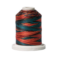 Signature 40wt Variegated Cotton Thread SIG41-256 Southwest  700yd