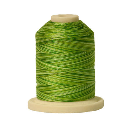 Signature 40wt Variegated Cotton Thread SIG41-259 Spring Grass  700yd