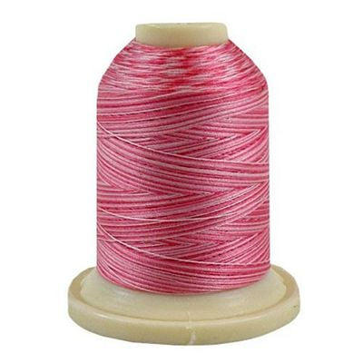 Robison Anton Cotton Quilting Thread - 500yd - Rose Variegated #22345 ...