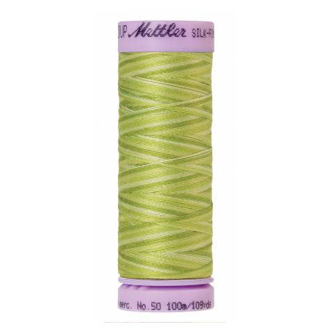 Silk-Finish Multi Embroidery Thread 9817 Little Sprouts 109yd