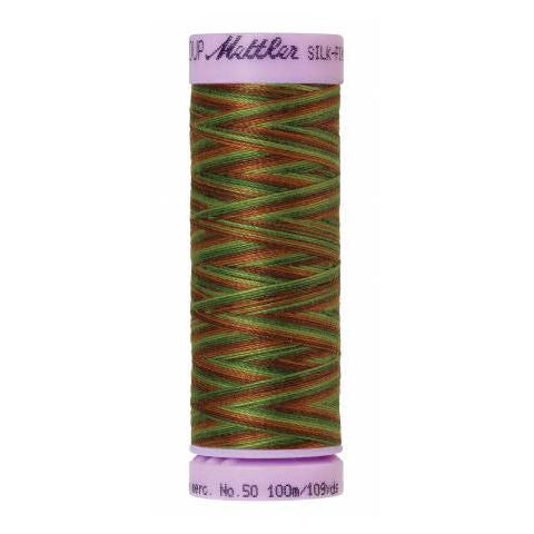 Silk-Finish Multi Embroidery Thread 9822 Forest Land 109yd