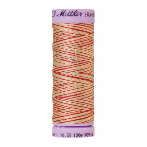 Silk-Finish Multi Embroidery Thread 9849 Antique Floral 109yd