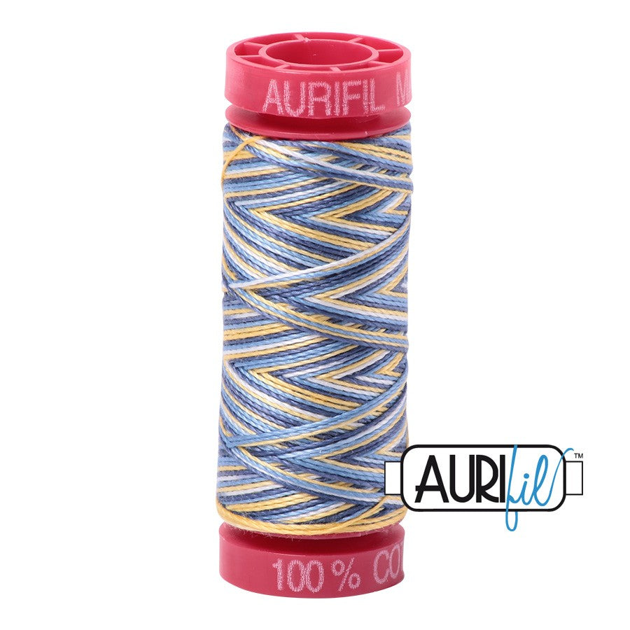 4649 Lemon Blueberry  - Aurifil 12wt Variegated Thread 54yd/50m