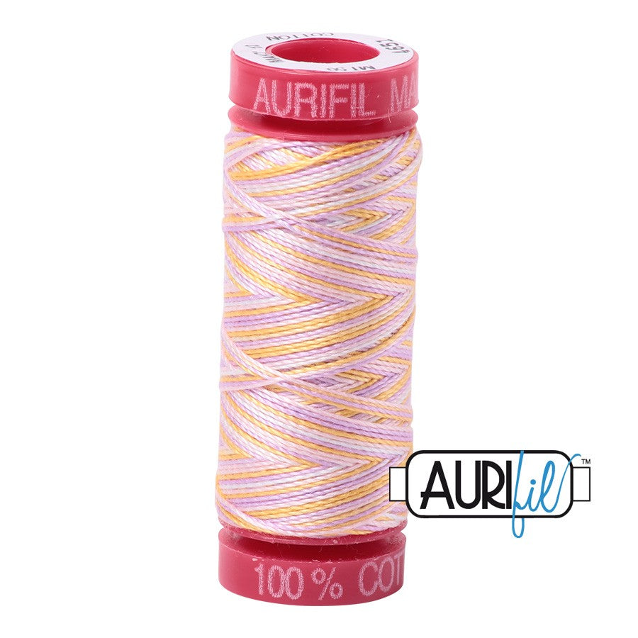 4651 Bari  - Aurifil 12wt Variegated Thread 54yd/50m