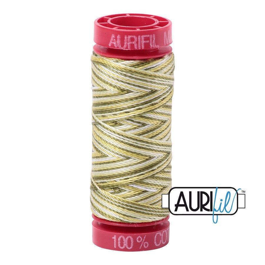 4653 Spring Prairie  - Aurifil 12wt Variegated Thread 54yd/50m