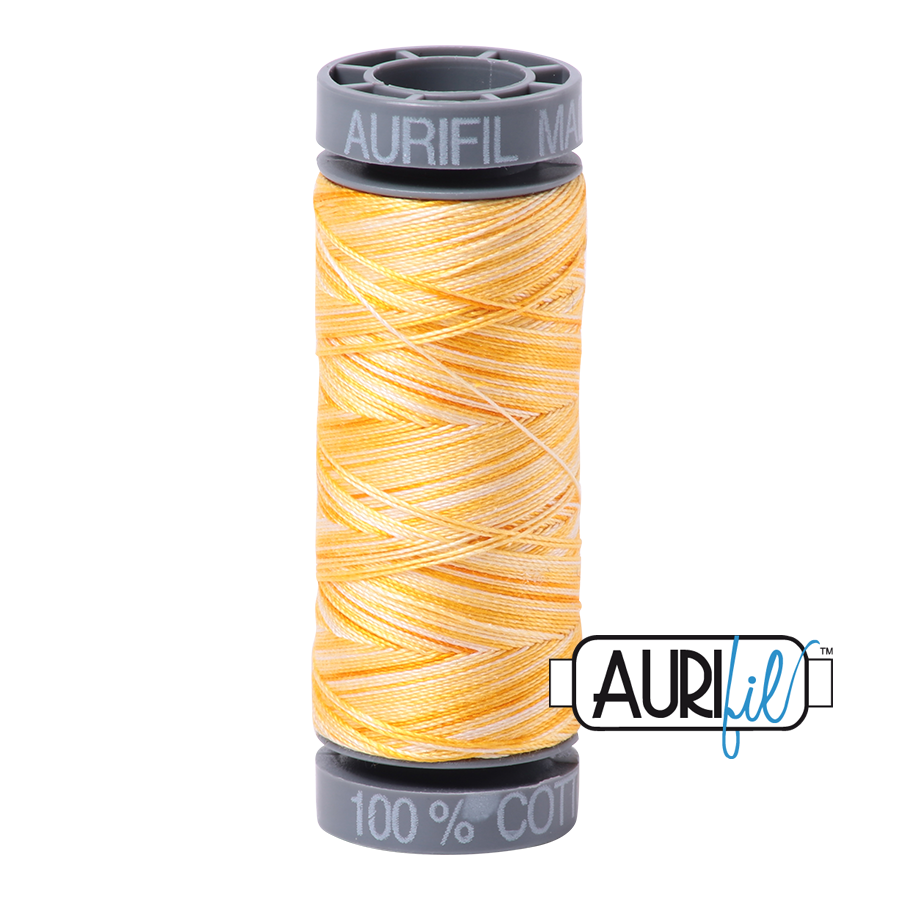 4658 Limoni Di Monterosso  - Aurifil 28wt Variegated Thread 100yd