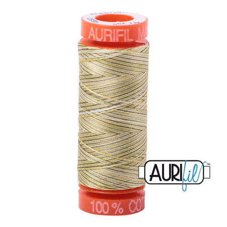 4653 Spring Prairie  - Aurifil 50wt Variegated Thread 220yd