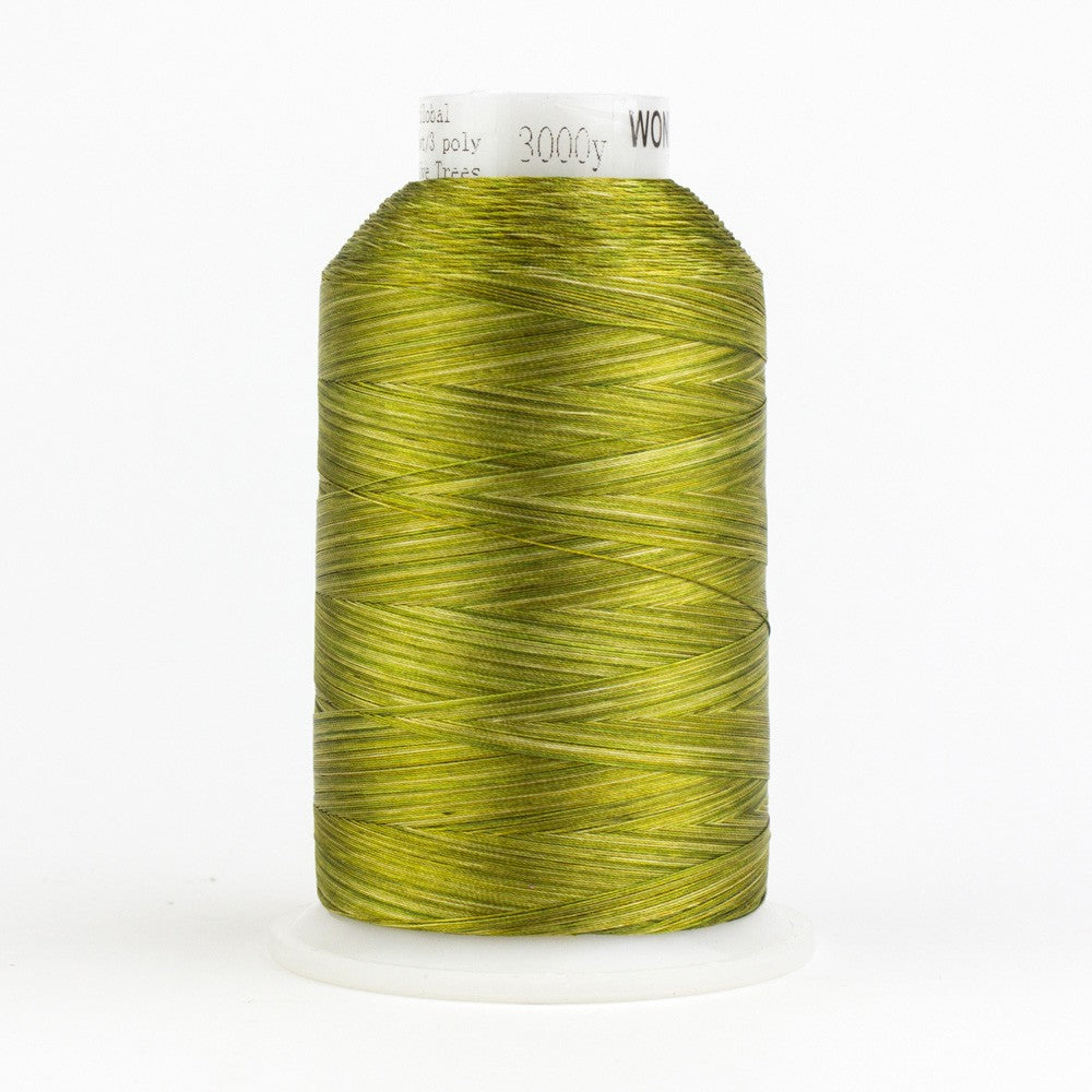 Wonderfil Fabulux Variegated 40wt Polyester Thread - 3000yd