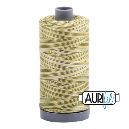 4653 Spring Prairie  - Aurifil 28wt Variegated Thread 820yd