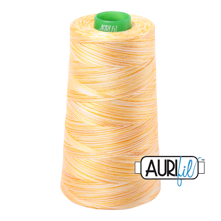 4658 Limoni Di Monterosso  - Aurifil 40wt Variegated Thread 5140yd