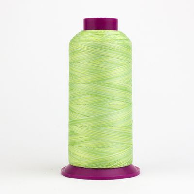 WonderFil Fruitti 12wt Variegated Cotton FT28 Lime  1000yd Cone